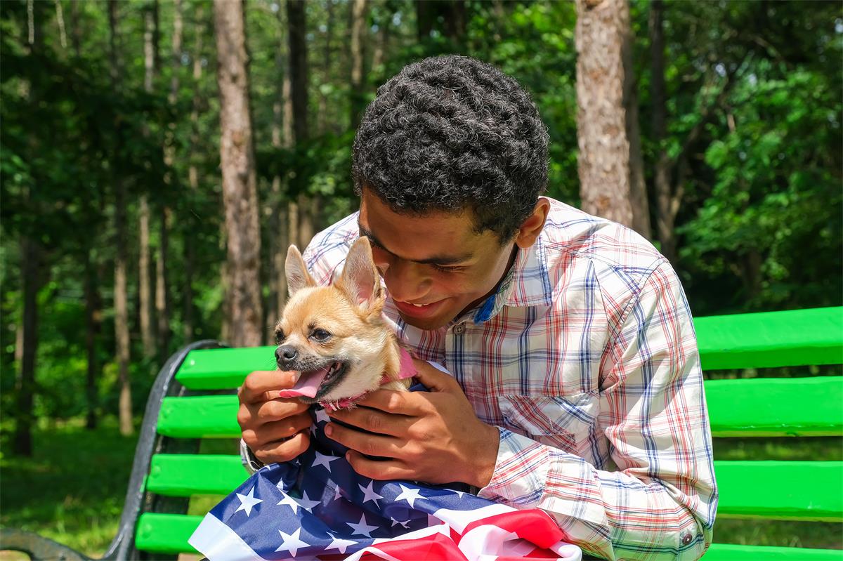 Afro American man holding a chihuahua dog wrapped in USA flag
